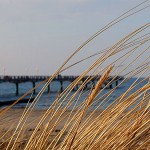Urlaub am Ostseestrand auf Rügen